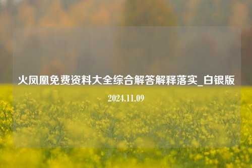 火凤凰免费资料大全综合解答解释落实_白银版2024.11.09