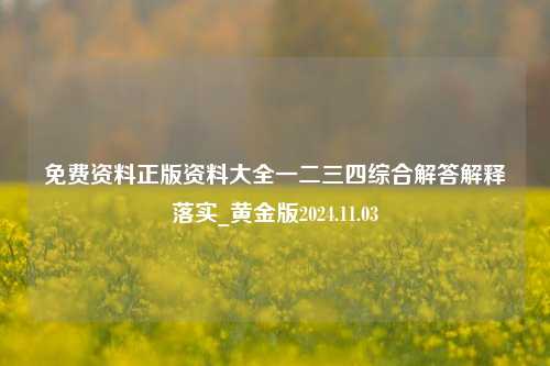 免费资料正版资料大全一二三四综合解答解释落实_黄金版2024.11.03