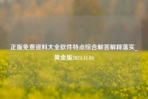 正版免费资料大全软件特点综合解答解释落实_黄金版2024.11.04