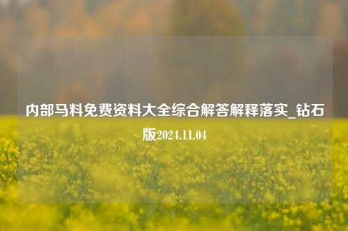 内部马料免费资料大全综合解答解释落实_钻石版2024.11.04