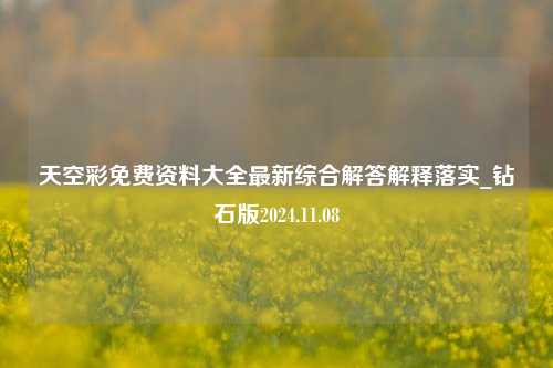 天空彩免费资料大全最新综合解答解释落实_钻石版2024.11.08