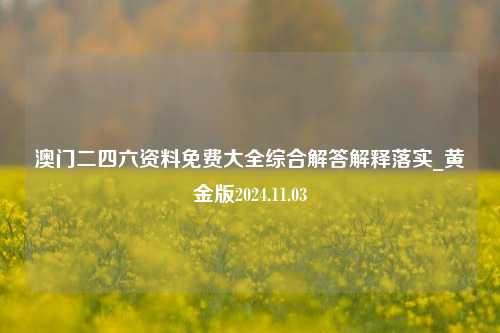 澳门二四六资料免费大全综合解答解释落实_黄金版2024.11.03