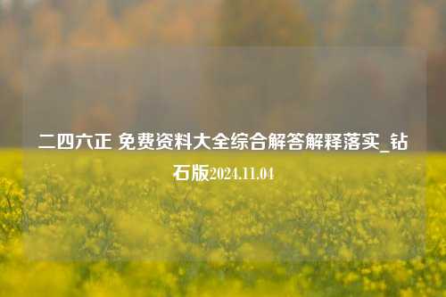 二四六正 免费资料大全综合解答解释落实_钻石版2024.11.04