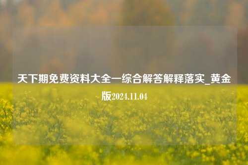 天下期免费资料大全一综合解答解释落实_黄金版2024.11.04