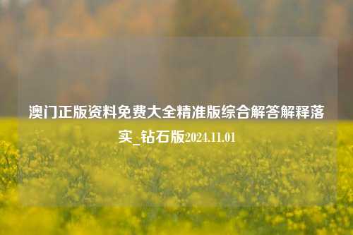 澳门正版资料免费大全精准版综合解答解释落实_钻石版2024.11.01