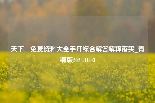 天下釆免费资料大全手开综合解答解释落实_青铜版2024.11.03