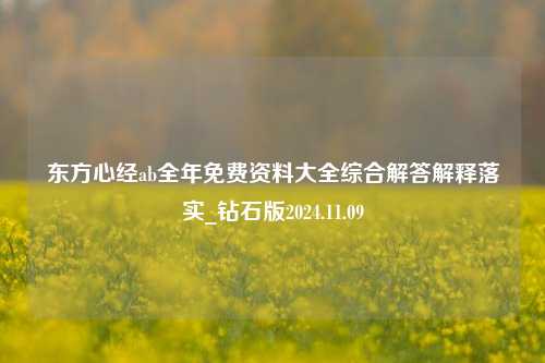 东方心经ab全年免费资料大全综合解答解释落实_钻石版2024.11.09