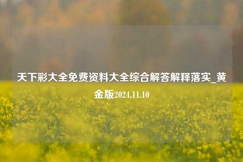 天下彩大全免费资料大全综合解答解释落实_黄金版2024.11.10