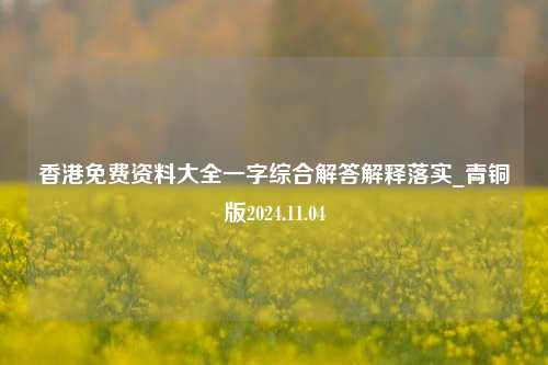 香港免费资料大全一字综合解答解释落实_青铜版2024.11.04