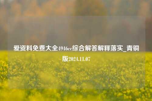 爱资料免费大全4946cc综合解答解释落实_青铜版2024.11.07