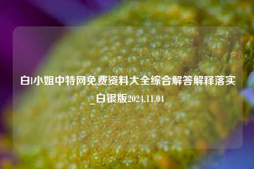 白l小姐中特网免费资料大全综合解答解释落实_白银版2024.11.04