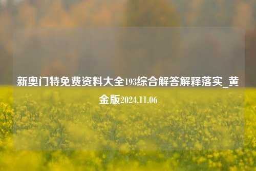 新奥门特免费资料大全193综合解答解释落实_黄金版2024.11.06