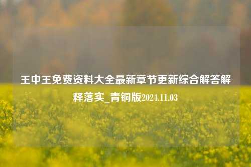 王中王免费资料大全最新章节更新综合解答解释落实_青铜版2024.11.03