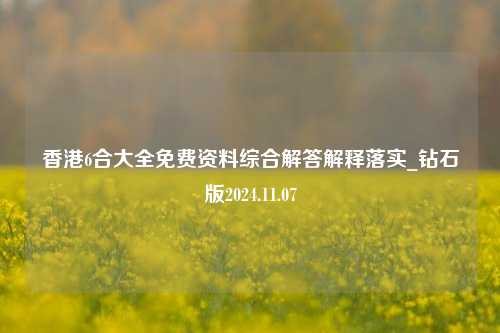 香港6合大全免费资料综合解答解释落实_钻石版2024.11.07