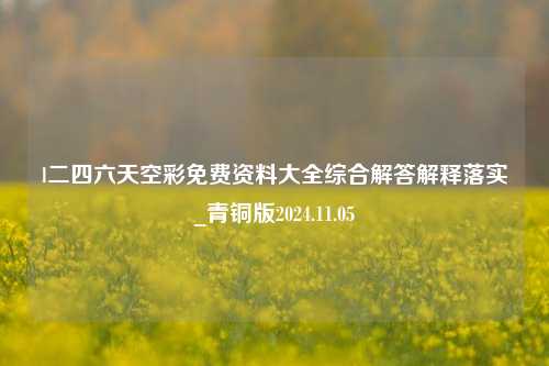 l二四六天空彩免费资料大全综合解答解释落实_青铜版2024.11.05