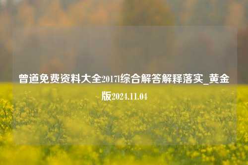 曾道免费资料大全2017l综合解答解释落实_黄金版2024.11.04