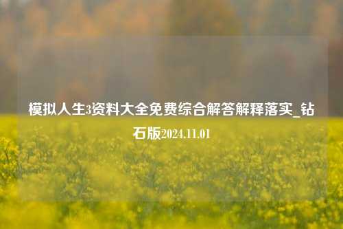 模拟人生3资料大全免费综合解答解释落实_钻石版2024.11.01