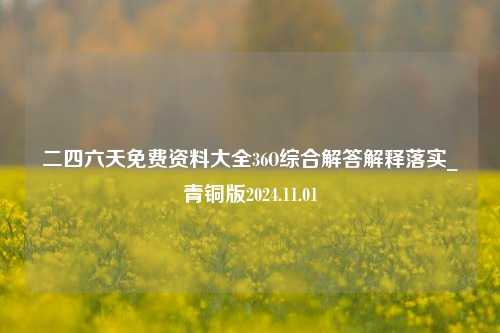 二四六天免费资料大全36O综合解答解释落实_青铜版2024.11.01