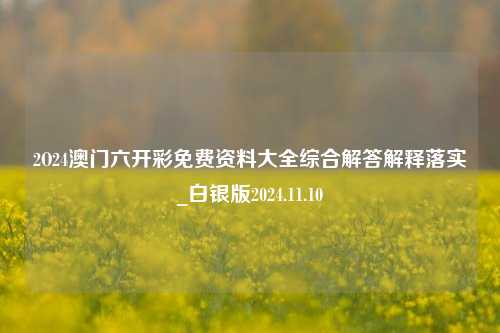 2O24澳门六开彩免费资料大全综合解答解释落实_白银版2024.11.10