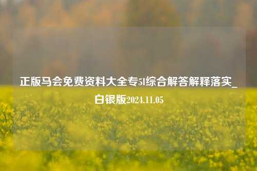 正版马会免费资料大全专5I综合解答解释落实_白银版2024.11.05