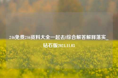 246免费246资料大全一起去l综合解答解释落实_钻石版2024.11.03