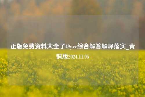 正版免费资料大全了49y.cc综合解答解释落实_青铜版2024.11.05