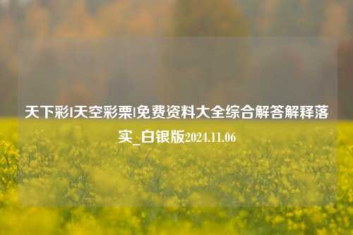 天下彩I天空彩栗l免费资料大全综合解答解释落实_白银版2024.11.06