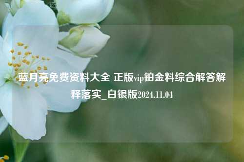 蓝月亮免费资料大全 正版vip铂金料综合解答解释落实_白银版2024.11.04