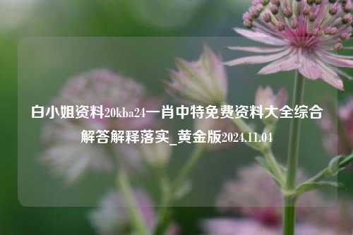 白小姐资料20kba24一肖中特免费资料大全综合解答解释落实_黄金版2024.11.04