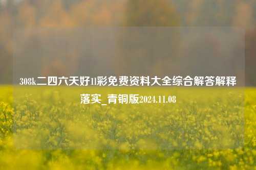 308k二四六天好1l彩免费资料大全综合解答解释落实_青铜版2024.11.08