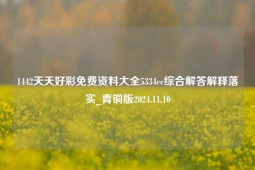 1442天天好彩免费资料大全5334cc综合解答解释落实_青铜版2024.11.10