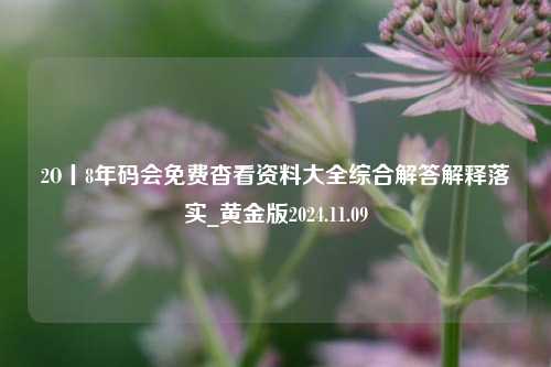 2O丨8年码会免费杳看资料大全综合解答解释落实_黄金版2024.11.09