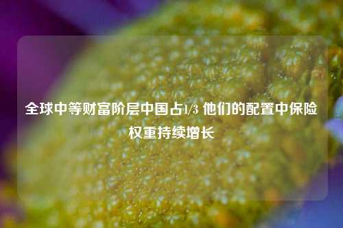 全球中等财富阶层中国占1/3 他们的配置中保险权重持续增长