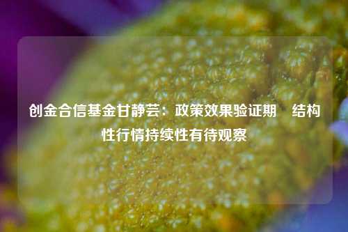 创金合信基金甘静芸：政策效果验证期 结构性行情持续性有待观察