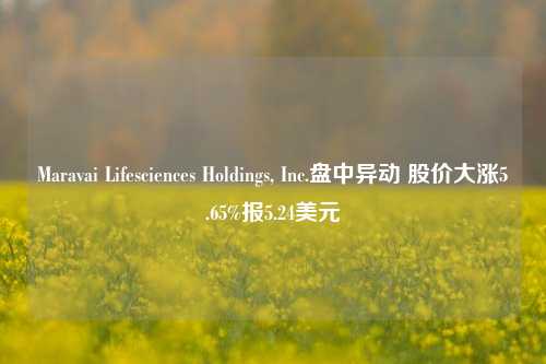 Maravai Lifesciences Holdings, Inc.盘中异动 股价大涨5.65%报5.24美元