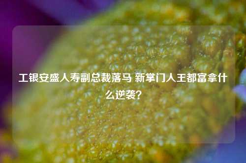 工银安盛人寿副总裁落马 新掌门人王都富拿什么逆袭？