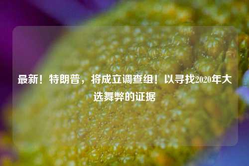 最新！特朗普，将成立调查组！以寻找2020年大选舞弊的证据