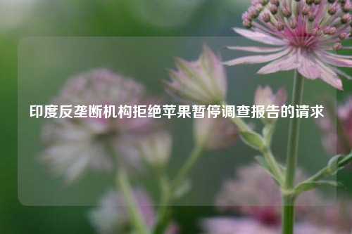 印度反垄断机构拒绝苹果暂停调查报告的请求