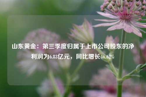 山东黄金：第三季度归属于上市公司股东的净利润为6.83亿元，同比增长46.62%