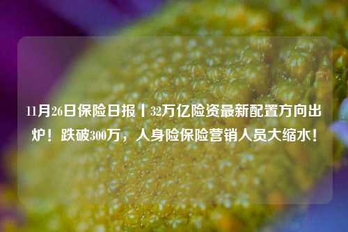 11月26日保险日报丨32万亿险资最新配置方向出炉！跌破300万，人身险保险营销人员大缩水！