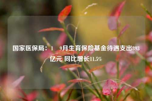 国家医保局：1―9月生育保险基金待遇支出893亿元 同比增长11.5%