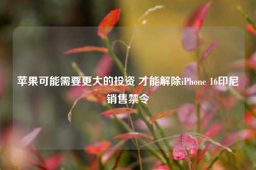 苹果可能需要更大的投资 才能解除iPhone 16印尼销售禁令