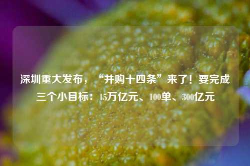 深圳重大发布，“并购十四条”来了！要完成三个小目标：15万亿元、100单、300亿元