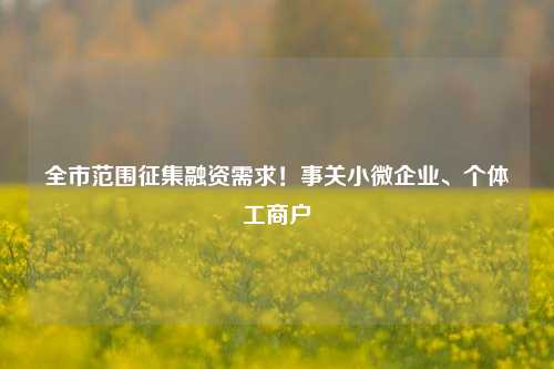 全市范围征集融资需求！事关小微企业、个体工商户