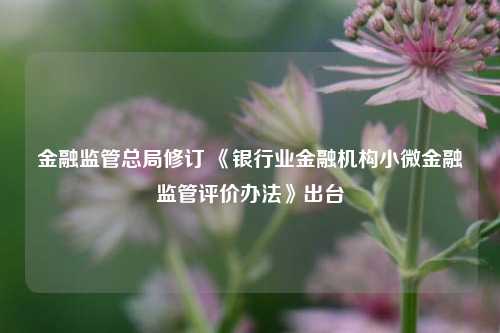 金融监管总局修订 《银行业金融机构小微金融监管评价办法》出台