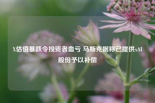 X估值暴跌令投资者血亏 马斯克据称已提供xAI股份予以补偿