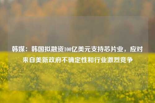 韩媒：韩国拟融资100亿美元支持芯片业，应对来自美新政府不确定性和行业激烈竞争