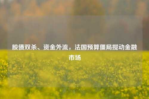 股债双杀、资金外流，法国预算僵局搅动金融市场