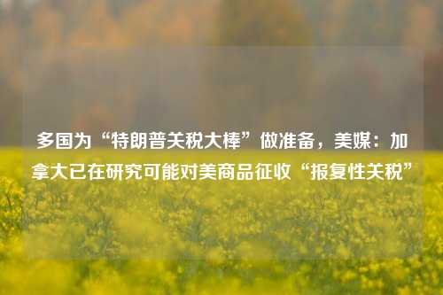 多国为“特朗普关税大棒”做准备，美媒：加拿大已在研究可能对美商品征收“报复性关税”