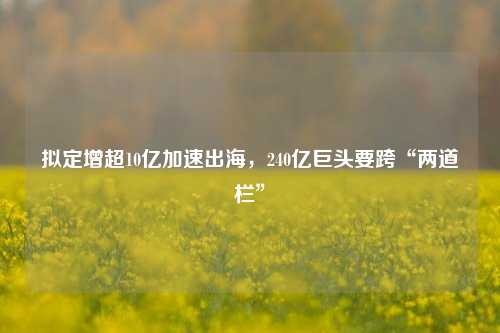 拟定增超10亿加速出海，240亿巨头要跨“两道栏”